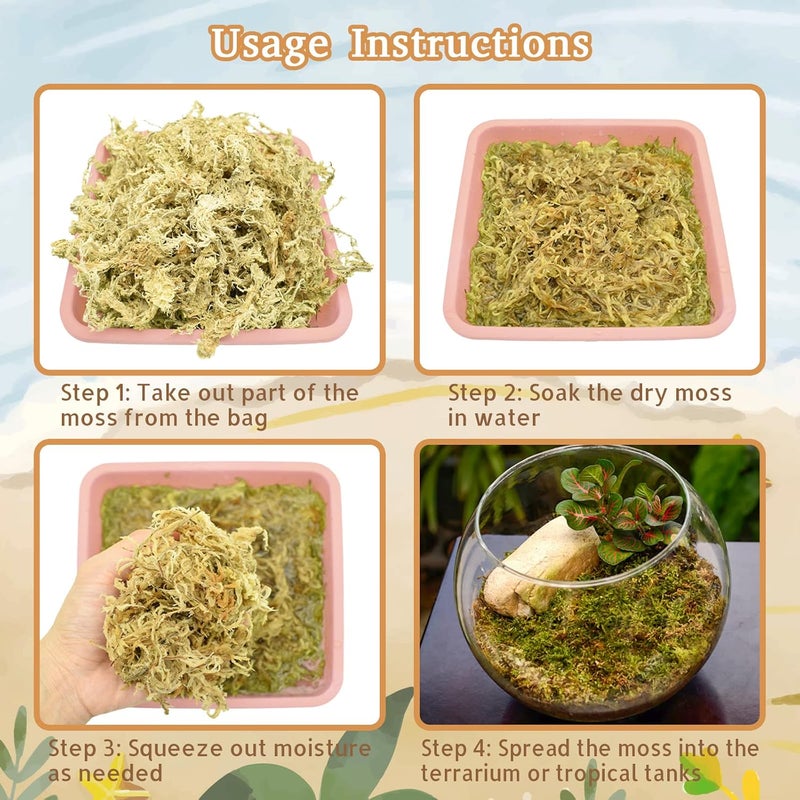 Riare 2.2LB Natural Sphagnum Moss for Reptiles- 50QT Reptile Substrate Moss for Terrarium, Frogs Snake Bedding for Leopard Gecko Turtle Anoles Salamanders Ball Python Snake - Image 5